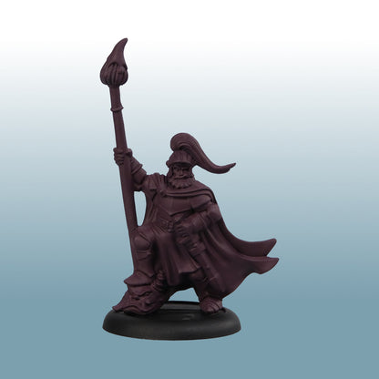 Two Thin Coats: Royal Cloak - Painted Miniature Example
